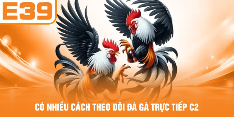 Có nhiều cách theo dõi đá gà trực tiếp C2