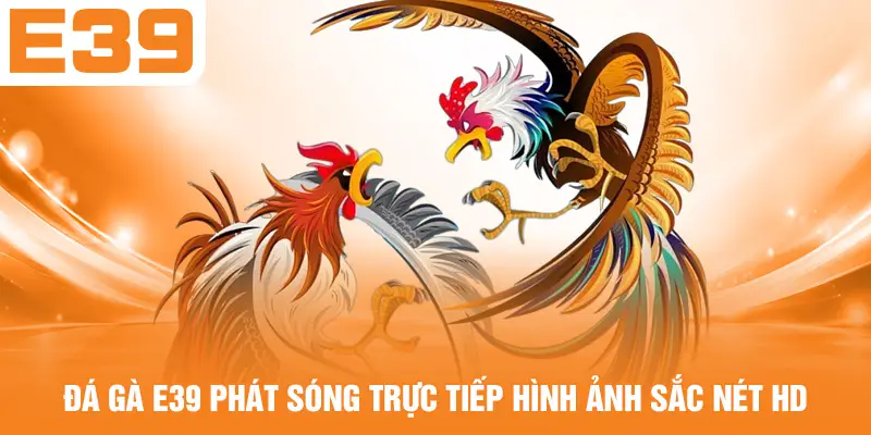 Đá gà E39 phát sóng trực tiếp hình ảnh sắc nét HD