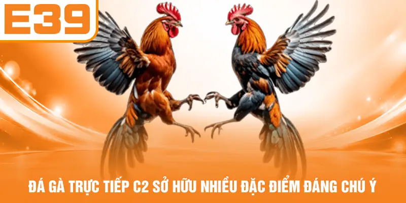 Đá gà trực tiếp C2 sở hữu nhiều đặc điểm đáng chú ý
