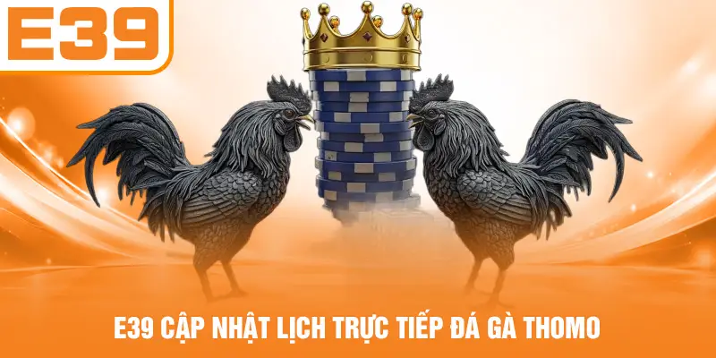 E39 cập nhật lịch trực tiếp đá gà Thomo