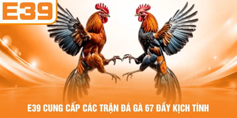 E39 cung cấp các trận đá gà 67 đầy kịch tính