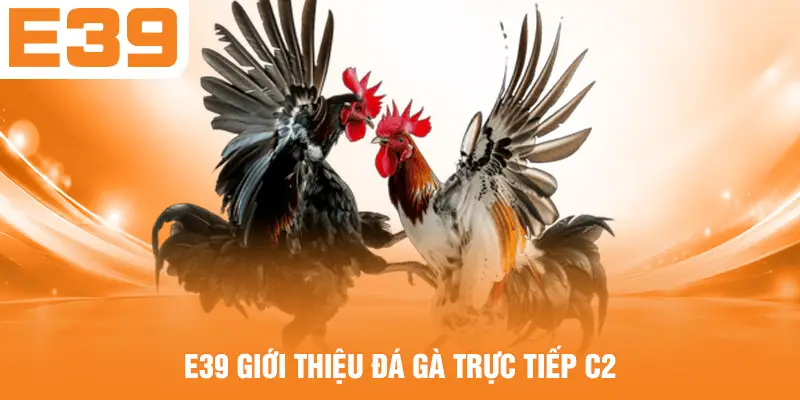 E39 giới thiệu đá gà trực tiếp C2