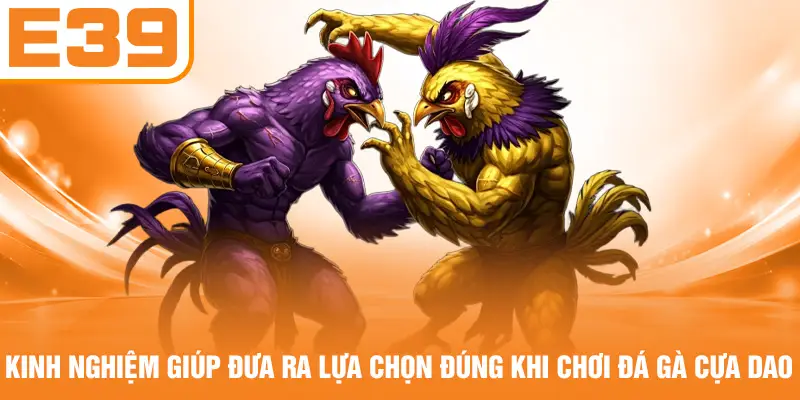 Kinh nghiệm giúp đưa ra lựa chọn đúng khi chơi đá gà cựa dao