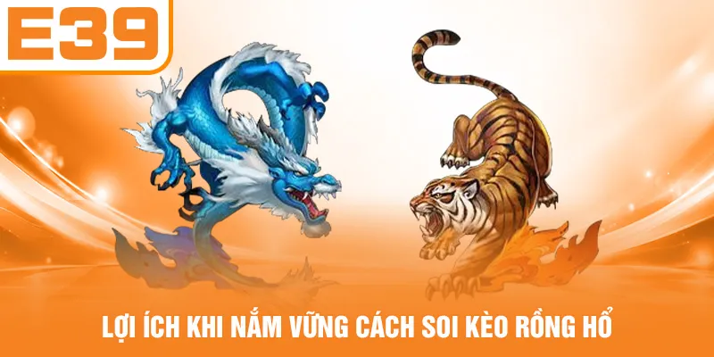 Lợi ích khi nắm vững cách soi kèo Rồng Hổ