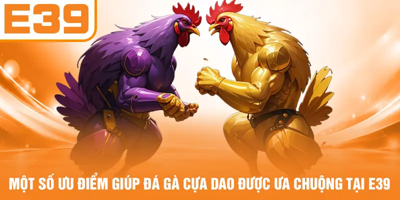 Một số ưu điểm giúp đá gà cựa dao được ưa chuộng tại E39