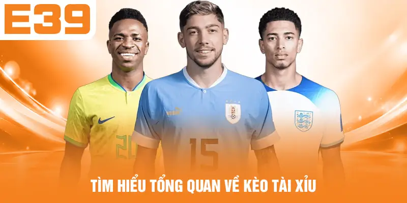 Tìm hiểu tổng quan về kèo tài xỉu